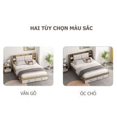 Giường Ngủ Thông Minh Nâng Hạ Có Ngăn Kéo, Kệ Sách - GP235