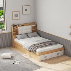 Giường Ngủ Thông Minh Nâng Hạ Có Ngăn Kéo, Kệ Sách - GP235