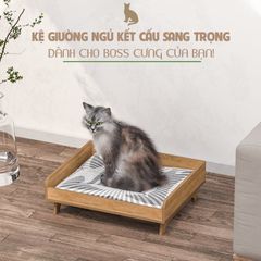 Nhà cho chó mèo P05 độc đáo, tiện dụng - GP207