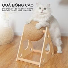 Cào móng có bóng tròn vui nhộn, chân trụ tam giác hình gấu ngộ nghĩnh - GU5