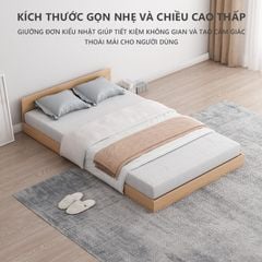 Giường bệt hiện đại màu vân gỗ - GP310