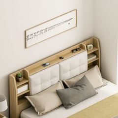 Giường Ngủ Thông Minh Nâng Hạ Có Ngăn Kéo, Kệ Sách - GP235