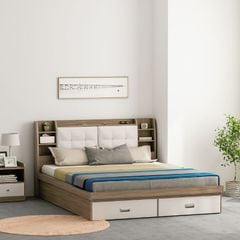 Giường Ngủ Thông Minh Nâng Hạ Có Ngăn Kéo, Kệ Sách - GP235