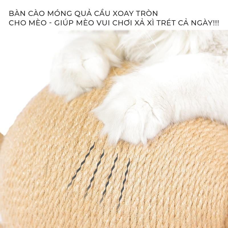 Cào móng có bóng tròn vui nhộn, chân trụ tam giác hình gấu ngộ nghĩnh - GU5