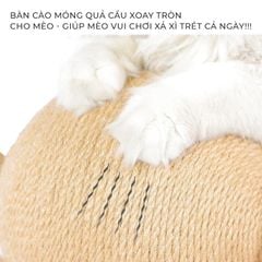 Cào móng có bóng tròn vui nhộn, chân trụ tam giác hình gấu ngộ nghĩnh - GU5