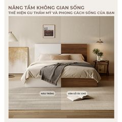 Giường hiện đại, cao cấp - GP340