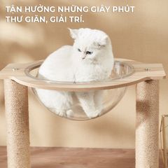 Ổ mèo D32 có chân đế chắc chắn, đa năng kèm trụ cào móng - GU6