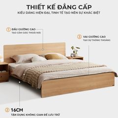 Giường đôi sang trọng kiểu dáng tinh tế hiện đại - GP338