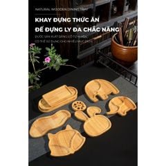Khay đĩa gỗ nhiều hình dạng - PG13