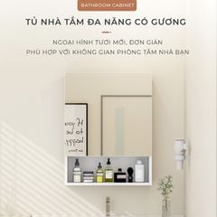 Tủ gương treo tường đa năng, cao cấp - GP257.01