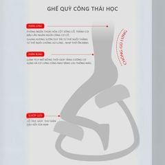 Ghế quỳ Công thái học - GP266.03