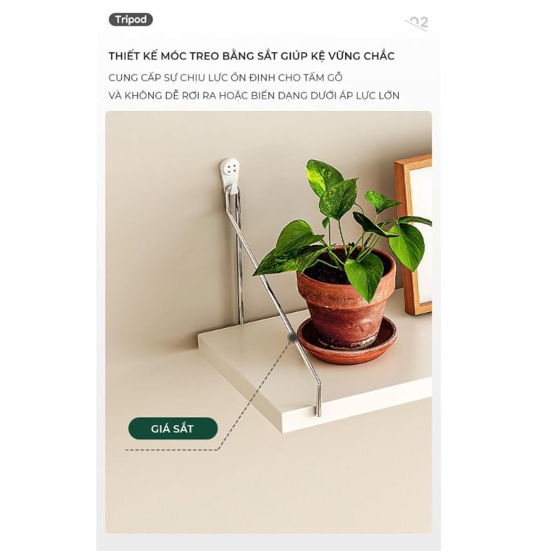 Combo Kệ Trang Trí Treo Tường Vân Gỗ Sồi (30/50/80*15- Móc) GP71