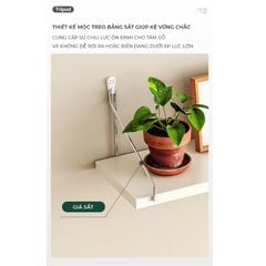 Combo Kệ Trang Trí Treo Tường Vân Gỗ Sồi (30/50/80*15- Móc) GP71