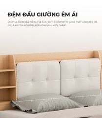Giường bệt có đệm đầu giường vân gỗ GP388