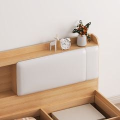 Giường ngủ kèm ngăn kéo đảo 2 bên - GP248