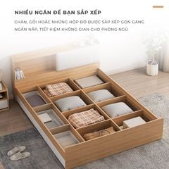 Giường ngủ kèm ngăn kéo đảo 2 bên - GP248
