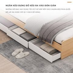 Giường ngủ kèm ngăn kéo đảo 2 bên - GP248