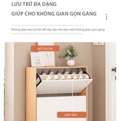 Tủ Giày Thông Minh GP20