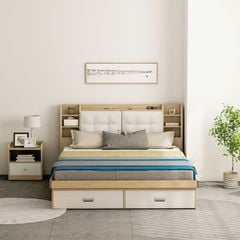 Giường Ngủ Thông Minh Nâng Hạ Có Ngăn Kéo, Kệ Sách - GP235