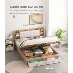 Giường Ngủ Thông Minh Nâng Hạ Có Ngăn Kéo, Kệ Sách - GP235