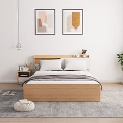 Giường ngủ kèm ngăn kéo đảo 2 bên - GP248