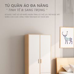 Tủ Quần Áo hiện đại GP264