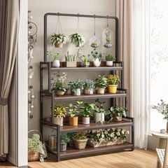 Kệ Cây Đa Tầng Gỗ 15 Ly Óc Chó Màu Đen GM124
