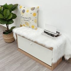 Tủ Giày Mini Cánh Lật Thông Minh - GP102