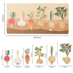 Bảng đồ chơi nhận biết rau củ thông minh cho bé - TOY04