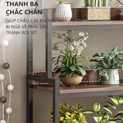 Kệ Cây Đa Tầng Gỗ 15 Ly Óc Chó Màu Đen GM124