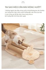 Trụ cào móng treo tường chắc chắn - GU1