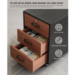 Tủ đựng hồ sơ tiện lợi - GP370