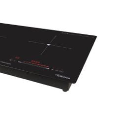 BẾP ĐÔI ĐIỆN TỪ PANWORLD PW-1981