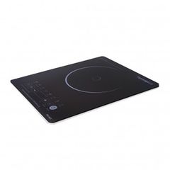 Bếp Điện Từ Panworld PW-863