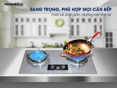 Bếp Gas Âm Panworld PW-1411
