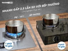 Bếp Gas Âm Panworld PW-1411