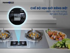 Bếp Gas Âm Panworld PW-1411