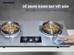 Bếp Gas Âm Panworld PW-1411