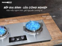 Bếp Gas Âm Hẹn Giờ Panworld PW-1422