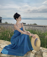 Đầm Vintage Xanh Hoa Nhí - Blue Daisy