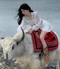 Đầm Vintage trắng alice
