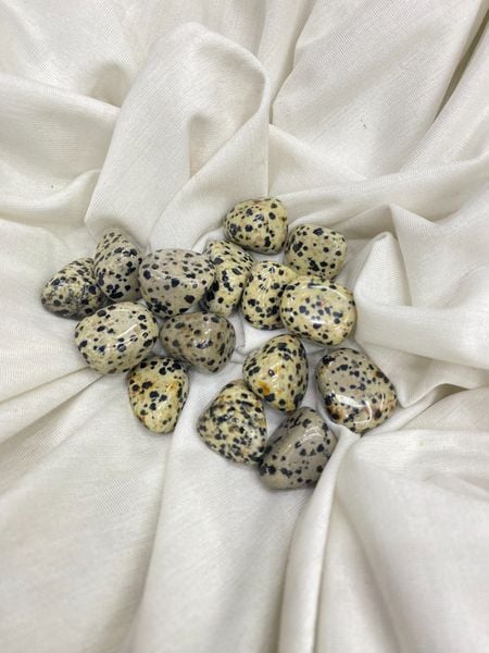  Sỏi Jasper Chó Đốm - Dalmatian Pure Joy Jasper Tumble 