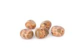  Sỏi Jasper Báo Hoa - Leopard Skin Jasper Tumble 