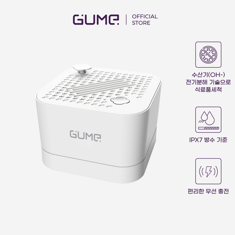  구미 식품류 살균기 