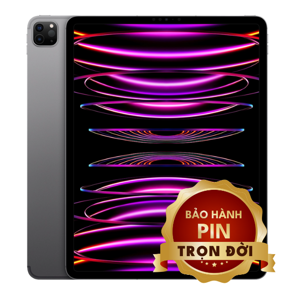 iPad Pro M2 2022 11inch 256GB Wifi + 5G - Máy Cũ