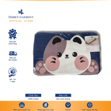  Thảm Akita hình thú dễ thương, kích thước 40x60 