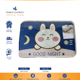  Thảm Akita hình thú dễ thương, kích thước 40x60 