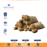  Gấu Bông Brown Bear Cotton Soft, Kích Thước 65cm 