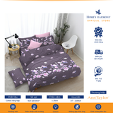  Bộ drap, áo gối kèm mền chần Cotton tổng hợp Ann Taylor Vintage 