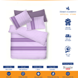  Bộ drap, áo gối kèm mền chần Micro Satin Novelle Home Urban Westin Stripe 